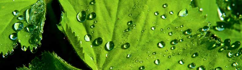 Tent Waterproofing, Tent Care & Cleaning Tent Waterproofing, Tent Care & Cleaning