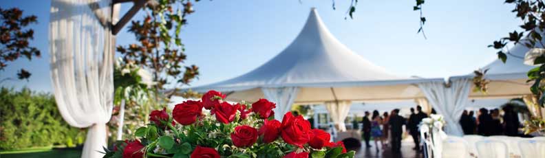 Partytent Partytent