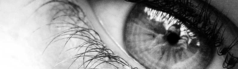 Rear View Camera - Black & White Rear View Camera - Black & White