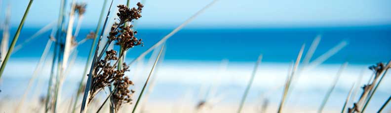 Schwimmschuhe, Strandschuhe, Surfschuhe Schwimmschuhe, Strandschuhe, Surfschuhe